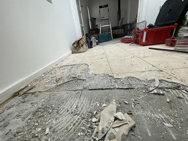 Denmark Reno - Before Start - Tile Removal