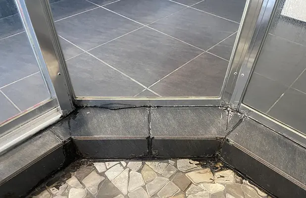 Before Shower Replacement 2