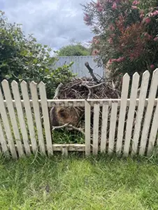 Fence Repairs - Before 9
