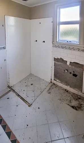 Mount Elphinstone Bathroom Reno - Removed Existing Features