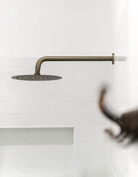 Bath Reno Pt Albany - Antique Brass Shower Head