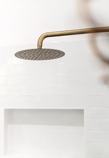 Bathroom Renovation Port Albany - Shower Rose Close up