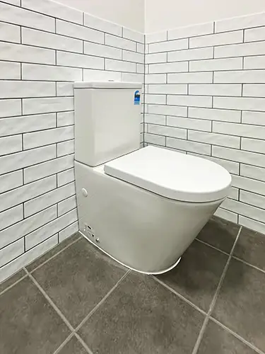 Bathroom Reno Robinson New Toilet
